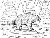 Bear Cave Coloring Page Pages sketch template