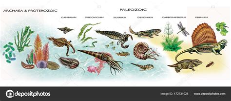 Diagram Development Life Archean Proterozoic Paleozoic Era Geologic Timeline Illustration Stock ...