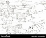 African Grassland Coloring Pages sketch template