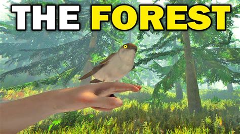 The Forest - Best Survival Game in 2017!! The Forest Starting New! (The Forest Gameplay) - YouTube