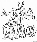 Beautiful Reindeer Family Coloring Page » Turkau sketch template
