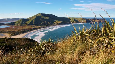 Top 10 Things To See and Do in Otago Peninsula, New Zealand