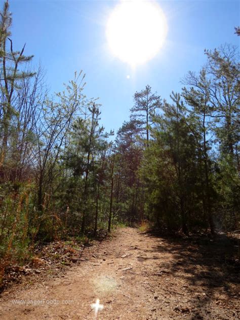 Asheville and Western North Carolina Best Hiking Trails | The Jager Food & Travel Blog