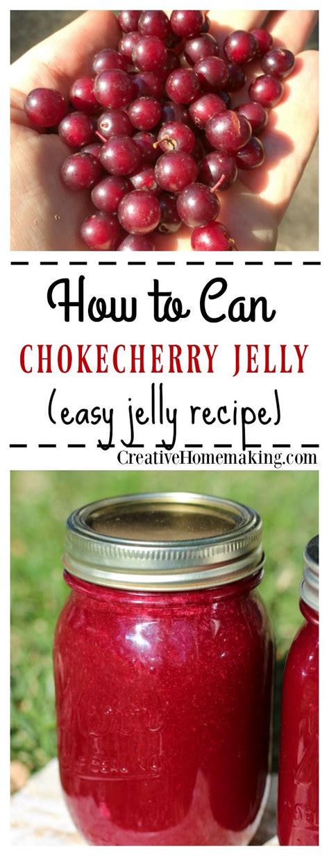 Canning Chokecherry Jelly | Chokecherry jelly, Jelly recipes, Chokecherry