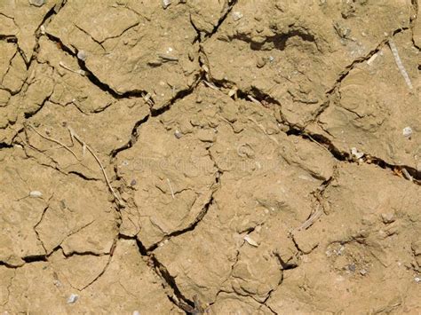 Arid soil outdoors stock image. Image of earth, surface - 92474905