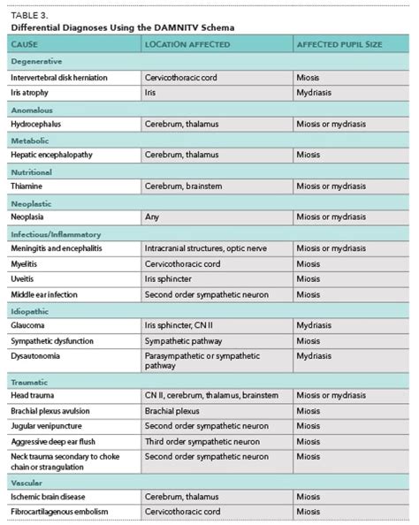 Anisocoria in Dogs: Causes, Signs, Treatments (Vet Answer) | Hepper