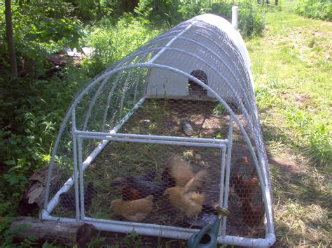 Chicken Tractor Good Design Practices - Lewis Family Farm