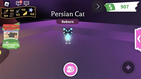 MADE A NR PERSIAN CAT :D : r/AdoptMeRBX