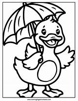 Duck Coloring Pages 10 Free Printable PDFs sketch template