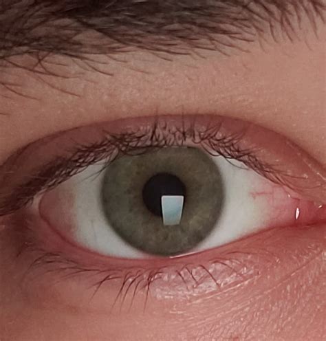 Are my eyes pretty? What shade of green is this? It seems kind of dull... : r/eyes