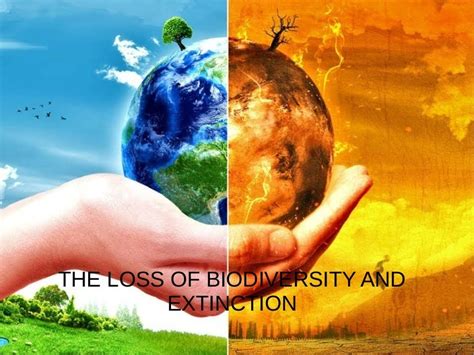 Biodiversity Loss And Species Extinction