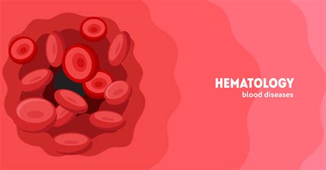 What Is a Hematology? Types & Common Tests of Hematology