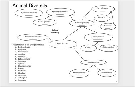 [Solved] Animal Diversity Second mouth Asymmetrical animals Symmetrical... | Course Hero