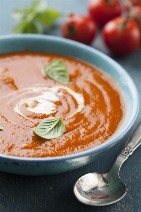 Tomato soup in a cup stock photo. Image of eating, dish - 145660040