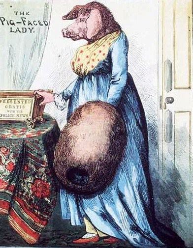 Pig-faced Lady Pictures – Myths and Legends