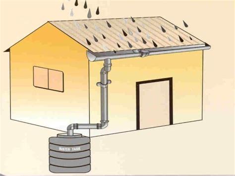 Rainwater Harvesting at Home – Simple, Yet Effective Methods ...