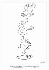 Food Kindergarten Chain Chains Printable Activities Sheets Grade  sketch template