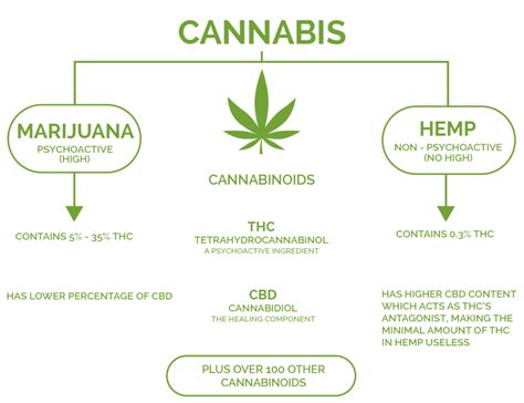 HEMP vs CBD vs THC - Cannabis Care Clinic