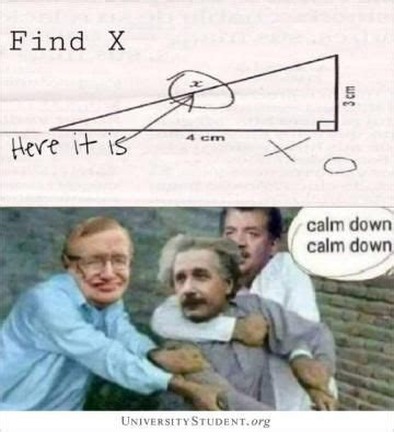 Einstein Math Meme in 2023 | Cute jokes, Funny blogs, Really funny pictures