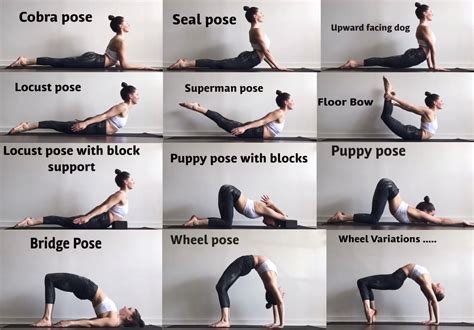 Yoga Poses Back Flexibility