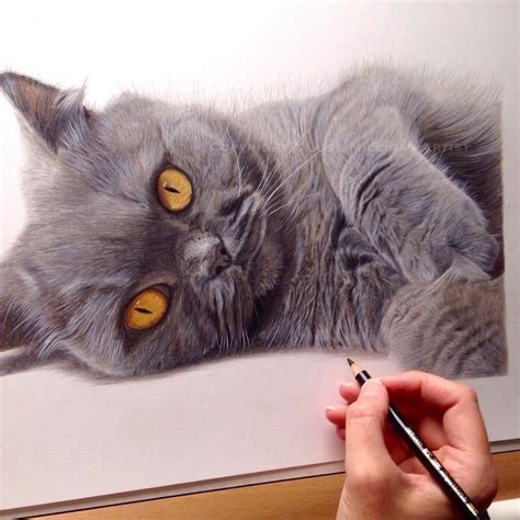 Awesome colored pencil works by Claire Milligan Pet Portrait & Wildlife Artist | Disegnare ...