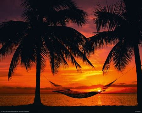 Hammock in the Sunset, Beach Photography Poster - Buy Online