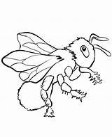 Flying Insects Coloring Pages sketch template