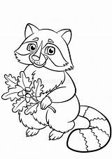 Coloring Pages Animals Little Cute Raccoon Stock Vector Illustration Of  sketch template