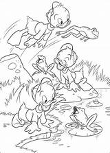 Coloring Page  Huey Dewey And louie coloring Pages 0 sketch template