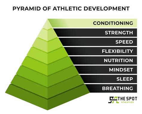 Sport Performance Conditioning Explained | The Spot