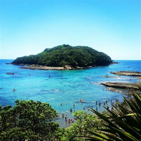 Goat Island, New Zealand. Great place for snorkeling | New zealand ...