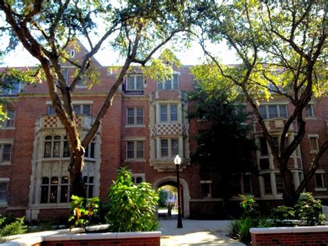 University of Florida - Gainesville, FL - Opiniones y fotos - TripAdvisor