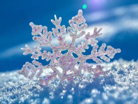 Closeup Of A Snowflake Standing Up In A Pile Of Snow - Wallpapers Every Day