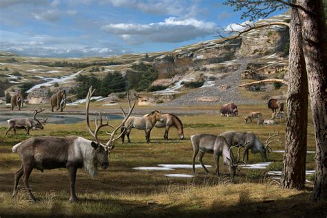 A 'smoking gun' on the Ice Age megafauna extinctions