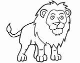 Singa Mewarnai Hewan Sketsa Lukisan Menggambar Binatang Sd Pemandangan  sketch template
