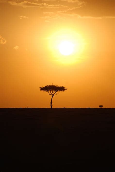 Free stock photo of africa, Kenya, safari