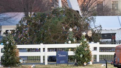 Christmas 2023: National Christmas Tree Set To Lit Up at White House by US President Joe Biden ...