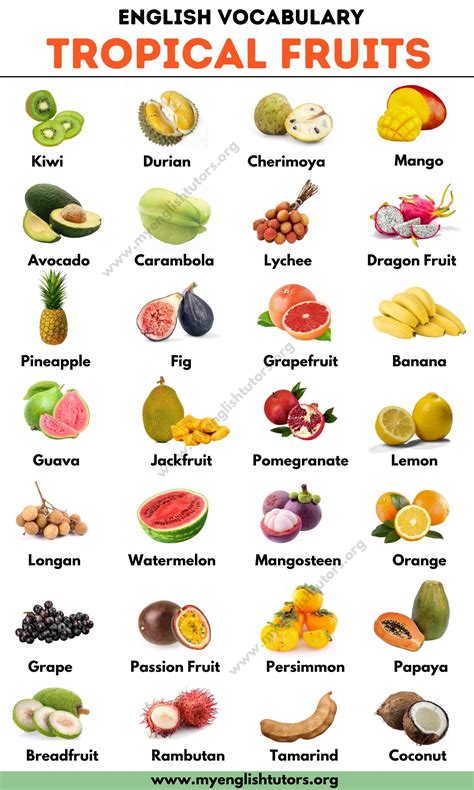 Tropical Fruits: List of 25+ Tropical Fruits You Should Try – My English Tutors