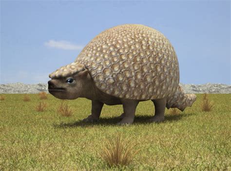 3D model Glyptodon Glyptodon VR / AR / low-poly MAX OBJ 3DS FBX C4D LWO LW LWS | CGTrader.com