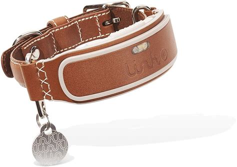 10 Best GPS Dog Collar Models to Keep Your Pet Safe | Robots.net