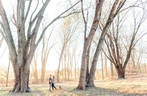 Vanish Brewery engagement photos, Vanish Brewery Leesburg, Leesburg ...