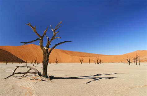 Deserts - Exploring Extreme Environments