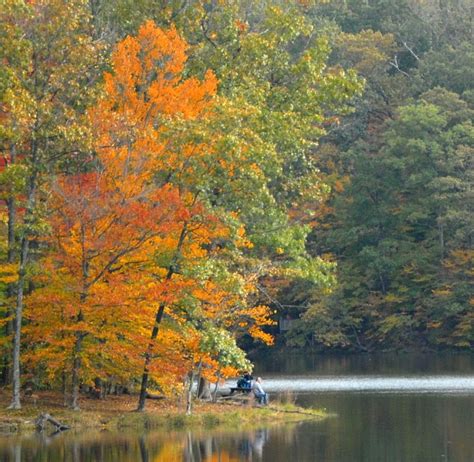 37 best images about Fall in Brown County on Pinterest