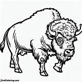 Bison Image Coloring Page  For Kids – Smart Creative And Fun sketch template