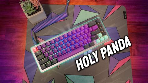 KEYBOARD ASMR Lubed Holy Panda Switch, Modded stabs, Insanely Satisfying Tactile Sound, NO ...