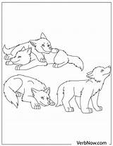 Wolves Pack Coloring Pages sketch template