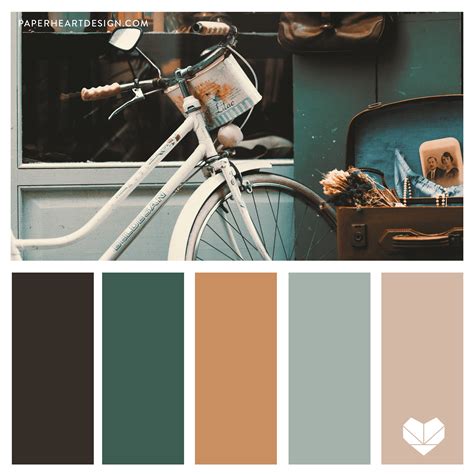 20 Vintage Color Palettes For Kickin' It Old School Looka | eduaspirant.com