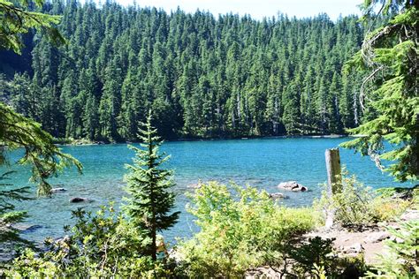 Pristine Buck Lake - Mt. Hood National Forest - Oregon Discovery