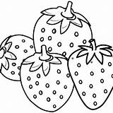 Strawberry Fruit Coloring Pages sketch template