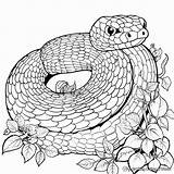 Snake Coloring Pages  Free & Printable sketch template